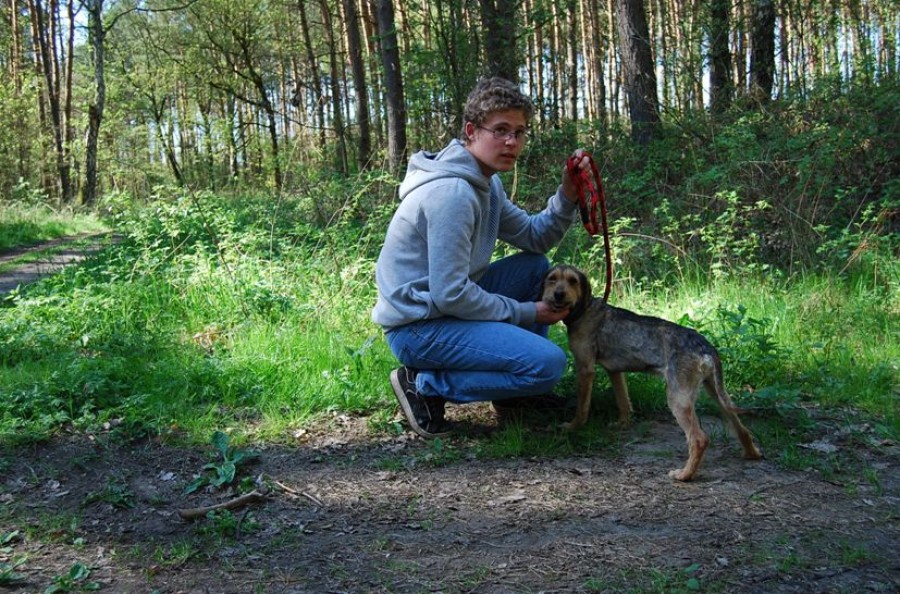 Uczniowie MOS w Waniorowie pomagają zwierzętom ze schroniska komunalnego w Sosnowicach
