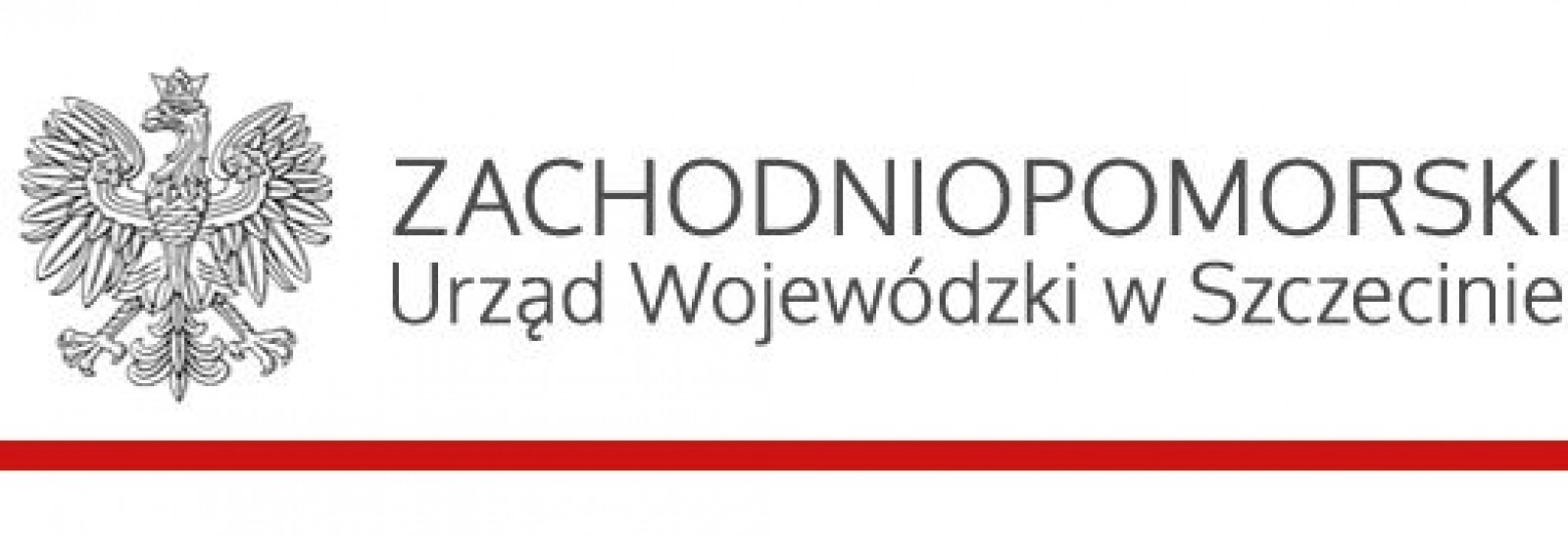 II edycja otwartego konkursu ofert na dofinansowanie realizacji projektów z zakresu pomocy społecznej w 2020 roku