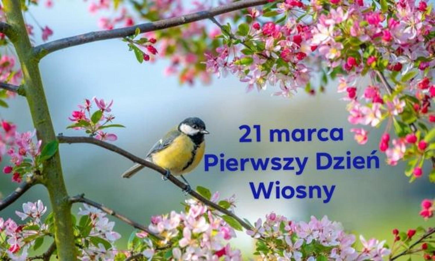 Pierwszy Dzień Wiosny i Dzień Kolorowej Skarpetki