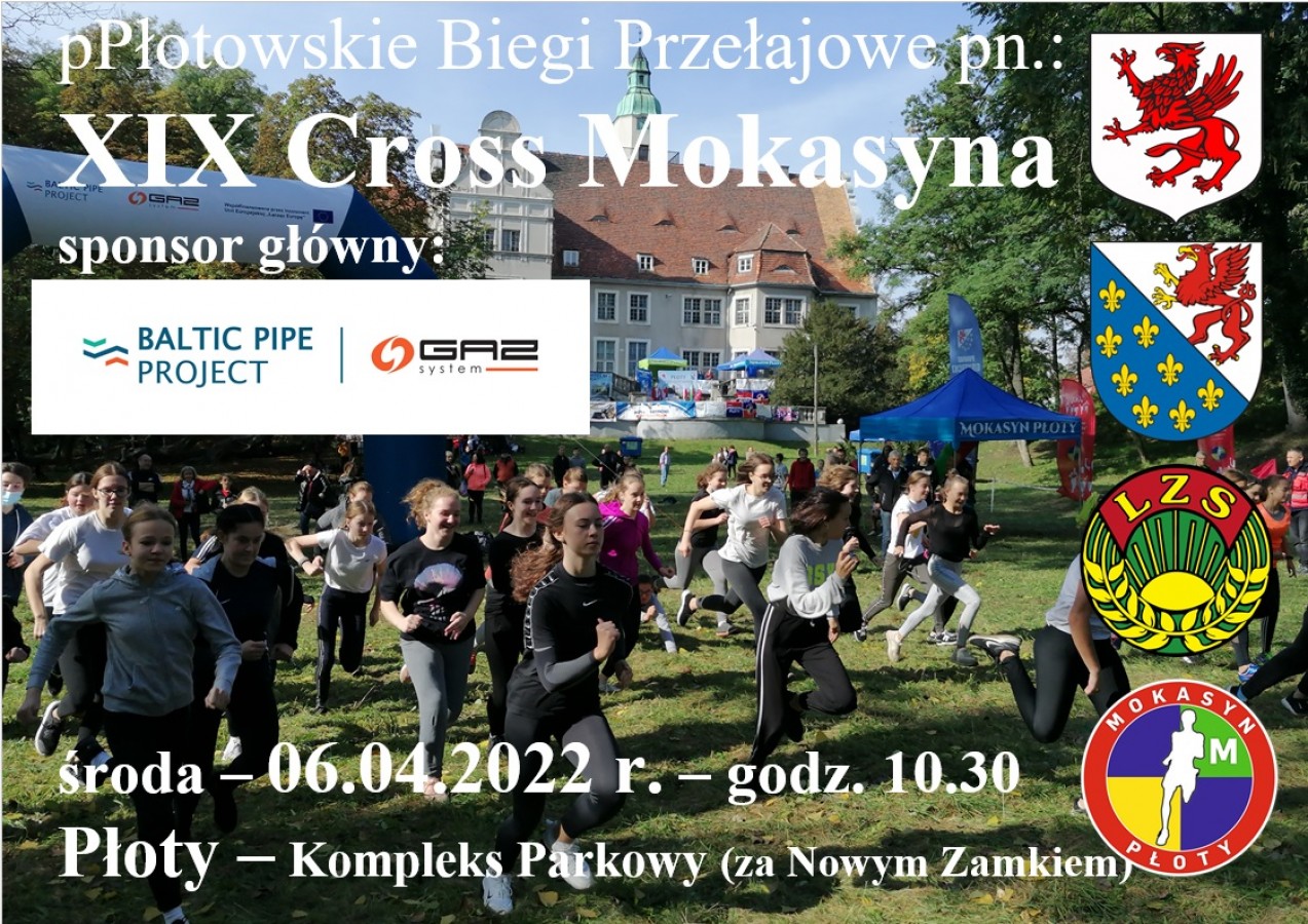 XIX Cross Mokasyna